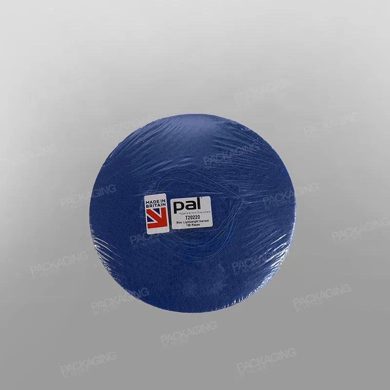 Hair Net Lightweight Blue