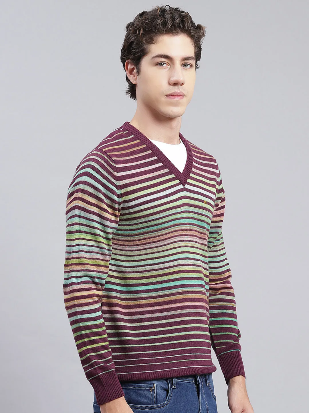 Men Multicolor Stripe Wool blend Pullover