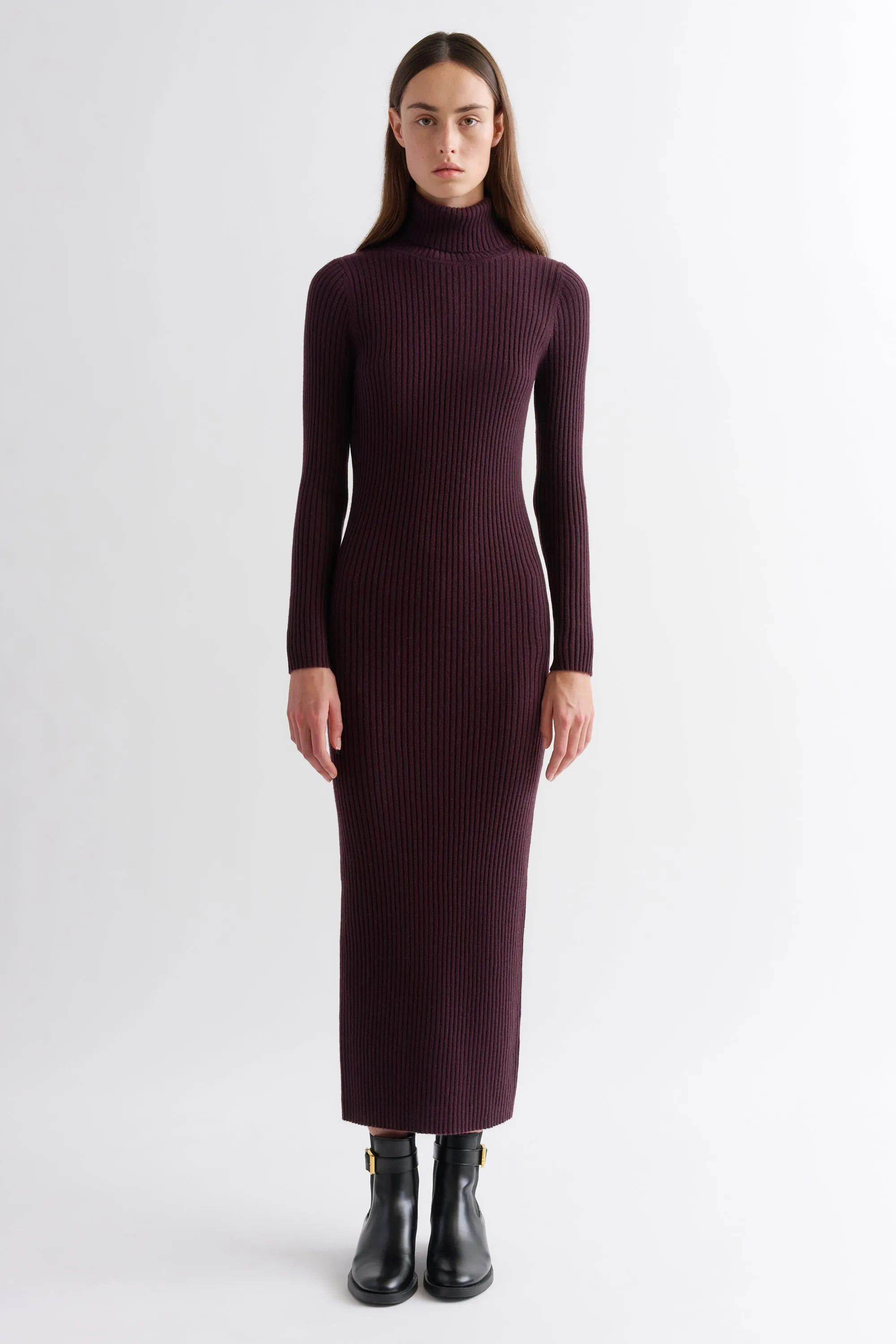 POORBOY RIB TURTLENECK DRESS